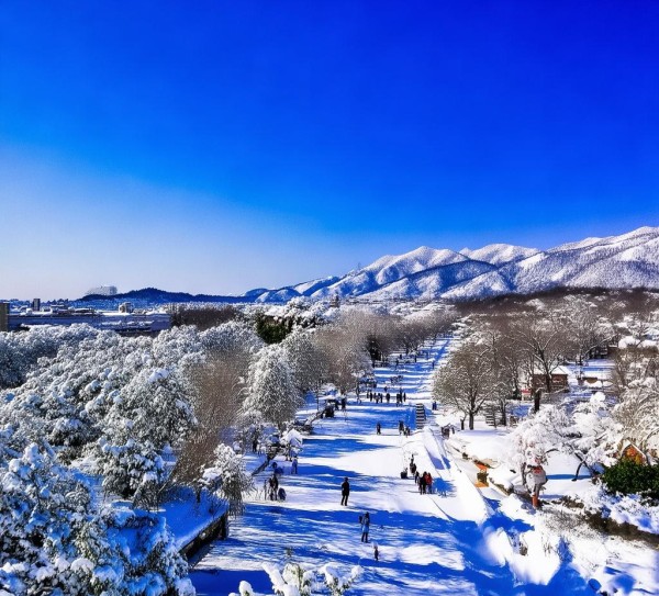 春城雪韵，昆明下雪一日游攻略探寻别样魅力,春城雪韵，昆明下雪一日游攻略探寻别样魅力,风情,第1张