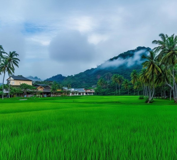 澄迈风情之旅，揭秘不可错过的五大美景,澄迈风情之旅，揭秘不可错过的五大美景,历史,景点,风情,第1张