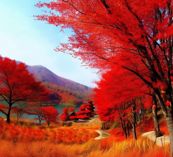 红色之旅攻略，邯郸涉县景区美景探秘,红色之旅攻略，邯郸涉县景区美景探秘,历史,景点,第1张