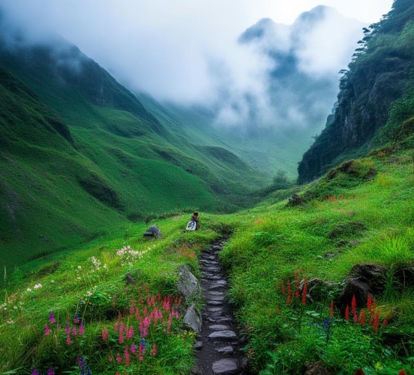 探寻云南深山秘境，心动之旅的隐秘角落,探寻云南深山秘境，心动之旅的隐秘角落,神秘,美食,秘境,第1张