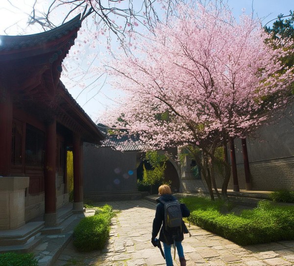 日坛公园旁历史遗迹探寻记,日坛公园旁历史遗迹探寻记,历史,景点,第1张