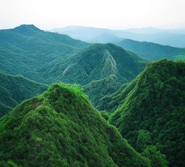 天府双塔，揭秘古塔之巅的绝美风光,天府双塔，揭秘古塔之巅的绝美风光,历史,景点,美食,第1张